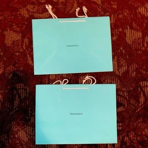Tiffany and Co. Medium Shopping Bag!